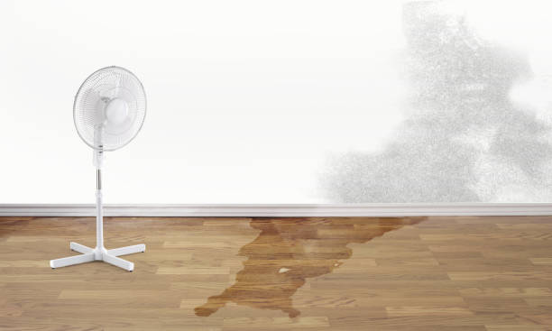 Best Residential water damage restoration  in Yorba Linda, CA