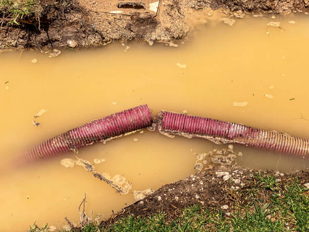 Best Water damage contractors near me  in Yorba Linda, CA