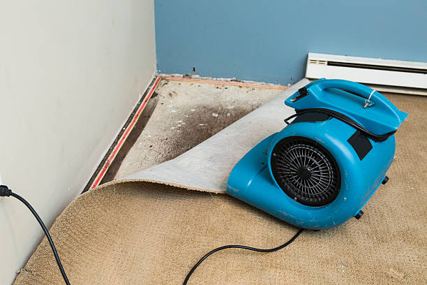 Best Flood damage cleanup  in Yorba Linda, CA